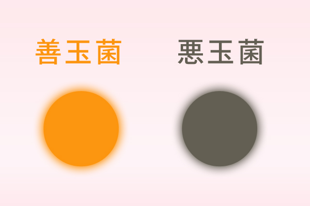 エムズ歯科コピオ子供の歯のこと小児歯科3歳までは頑張ってください