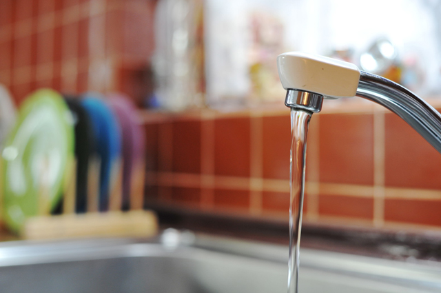 エムズ歯科コピオバイオフィルムに潜む虫歯菌