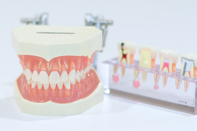 エムズ歯科コピオ　妊娠性歯肉炎になりやすくなります